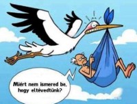 /album/kepgaleria-kezdolap1/a514-w-800-h0-q100-jpg1/