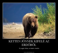 /album/kepgaleria-kezdolap1/a1329074350-0819-0210-f-jpg/