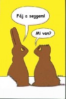 /album/kepgaleria-kezdolap1/csokinyulak-jpg/