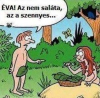 /album/kepgaleria-kezdolap1/picture-1892f474fced0e-jpg/