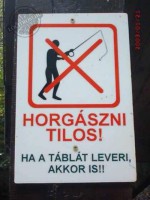 /album/kepgaleria-kezdolap1/a3993-jpg/