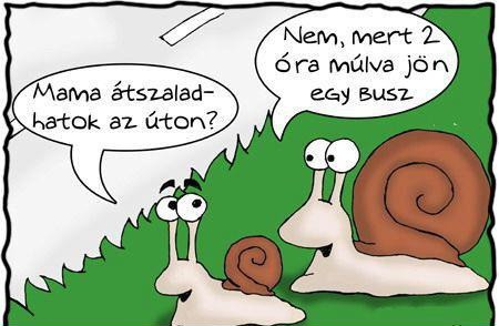 Ilyen lassan szaladsz?