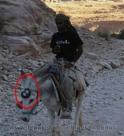 BMW márkájú szamár!